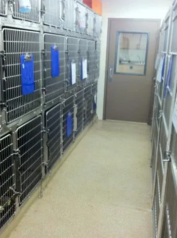 VCA Animal Care Center of Mt. Juliet Picture 8