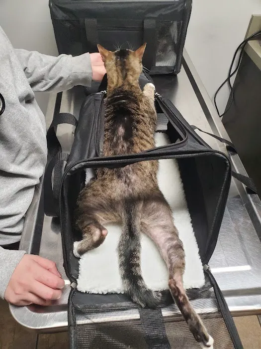 VCA Animal Care Center of Mt. Juliet Picture 9