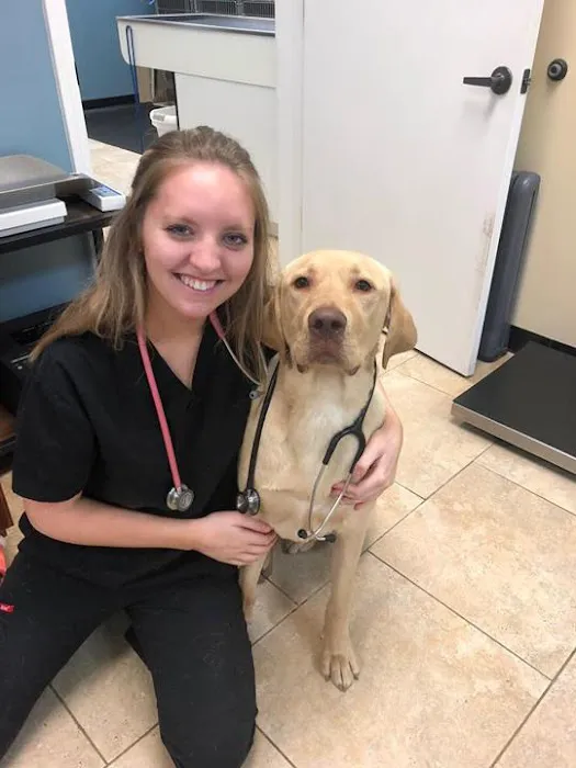 VetMed Animal Health Picture 8