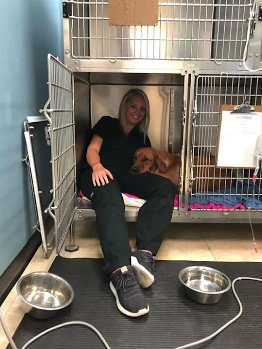 VetMed Animal Health Picture 6