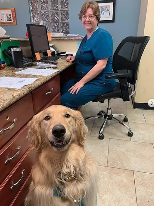 VetMed Animal Health Picture 5