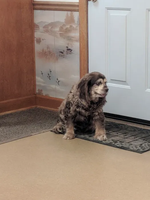 Mt Juliet Animal Clinic Picture 1