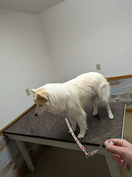 Mt Juliet Animal Clinic Picture 2