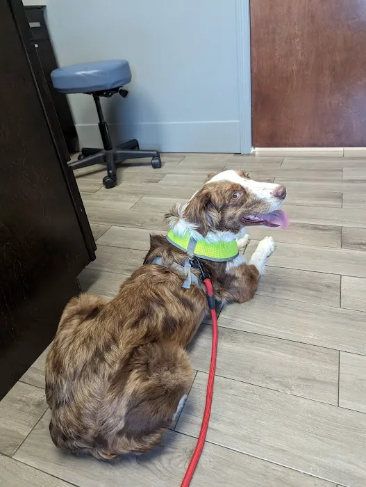 Avenue Animal Hospital Picture 1