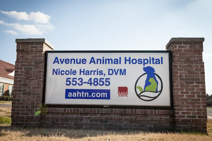 Avenue Animal Hospital Picture 2