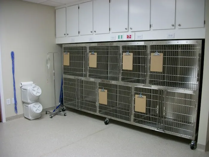Avenue Animal Hospital Picture 4