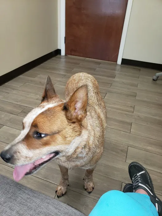 Avenue Animal Hospital Picture 10