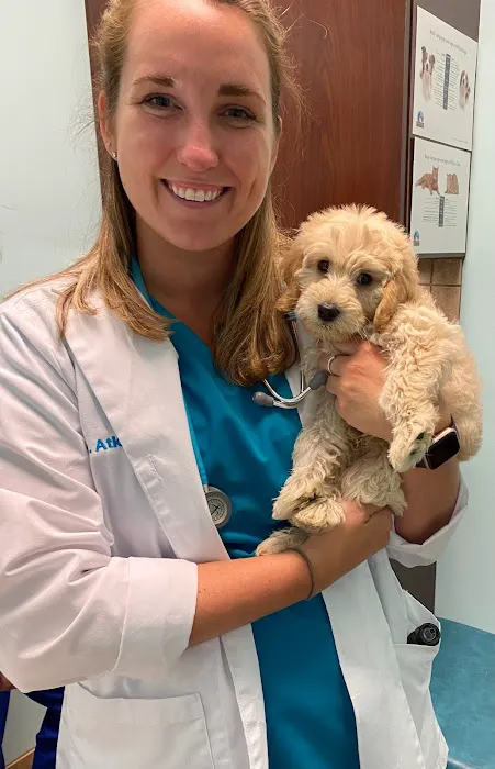 Blue Oasis Pet Hospital Picture 1