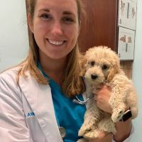 Blue Oasis Pet Hospital ico