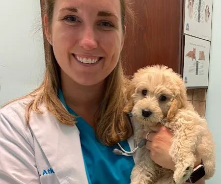 Blue Oasis Pet Hospital