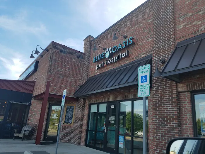 Blue Oasis Pet Hospital Picture 5