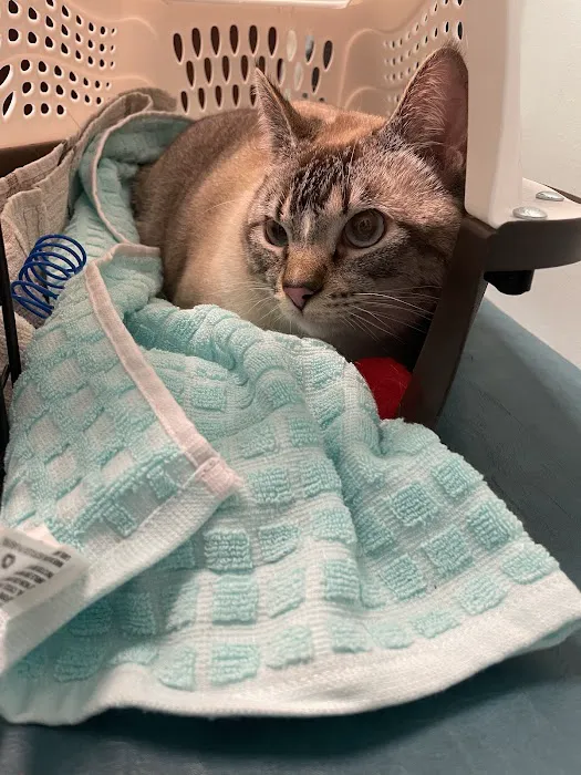 Blue Oasis Pet Hospital Picture 6