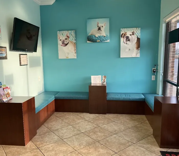 Blue Oasis Pet Hospital Picture 10