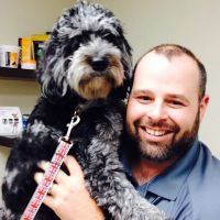 Providence Animal Hospital & Pet Resort ico
