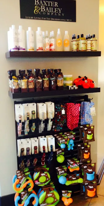 Providence Animal Hospital & Pet Resort Picture 5
