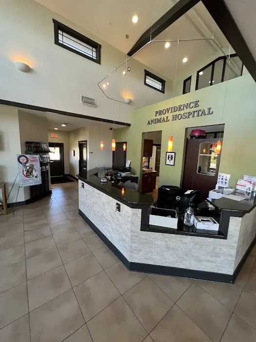 Providence Animal Hospital & Pet Resort Picture 4