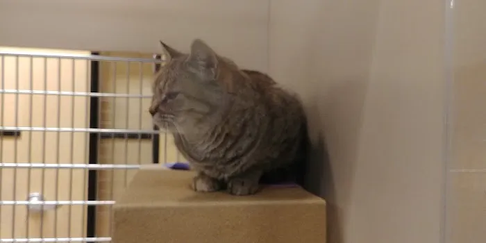 Banfield Pet Hospital Picture 2