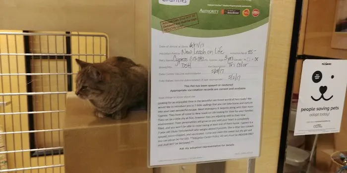 Banfield Pet Hospital Picture 9