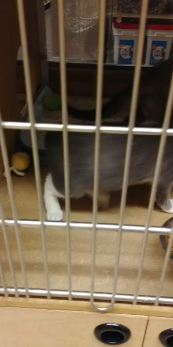 Banfield Pet Hospital Picture 6