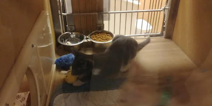 Banfield Pet Hospital Picture 7