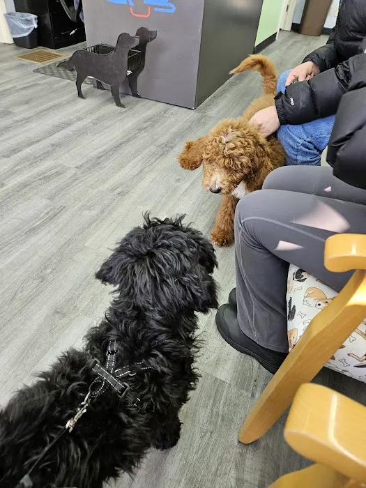 Good Samaritan Animal Clinic Picture 2