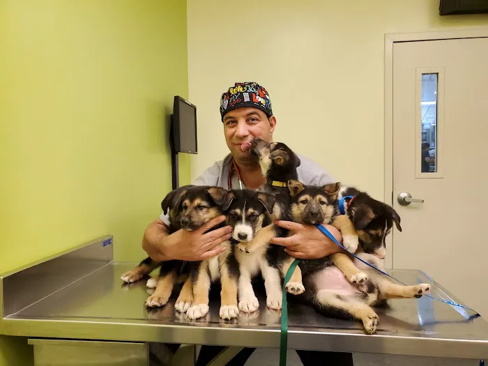 Good Samaritan Animal Clinic Picture 5