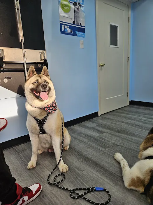 Good Samaritan Animal Clinic Picture 8