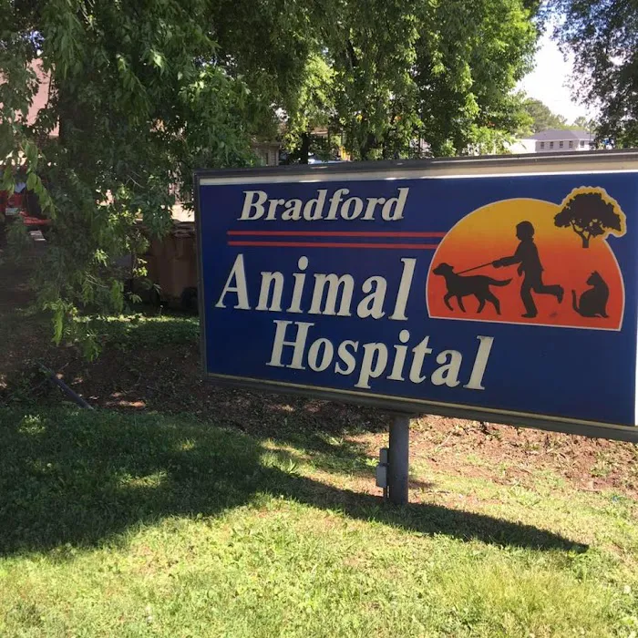 Bradford Animal Hospital Picture 3