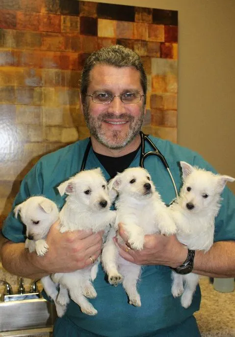 Noah's Ark Animal Hospital Inc Picture 6