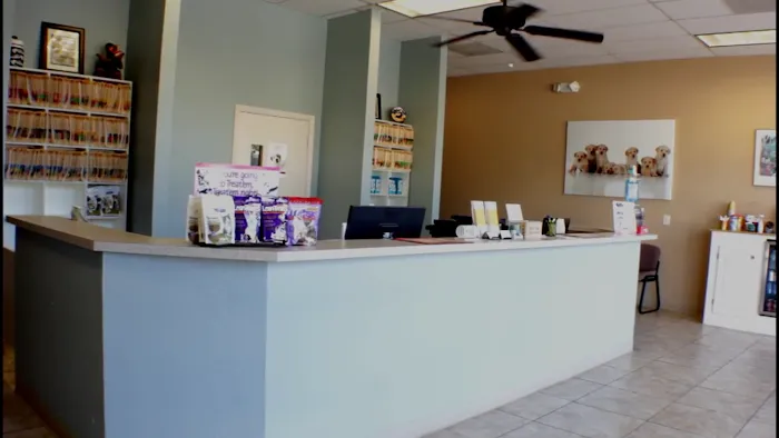Desert View Animal Hospital Picture 2