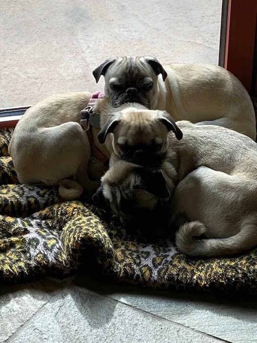 Desert View Animal Hospital Picture 7
