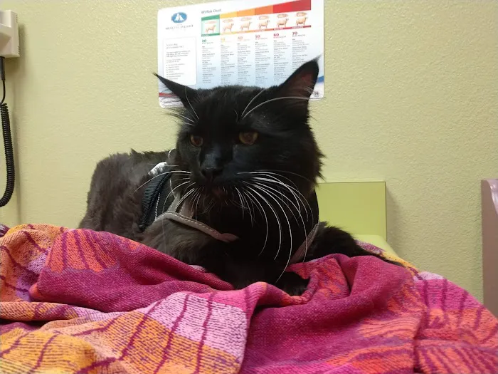 Animal Care Hospital: Halver Mark S DVM Picture 3
