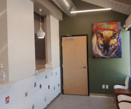 Animal Care Hospital: Temple Tara-Lynn DVM