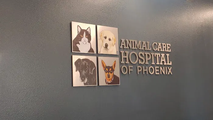 Animal Care Hospital: Temple Tara-Lynn DVM Picture 6