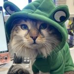 Animal Care Hospital of Phoenix