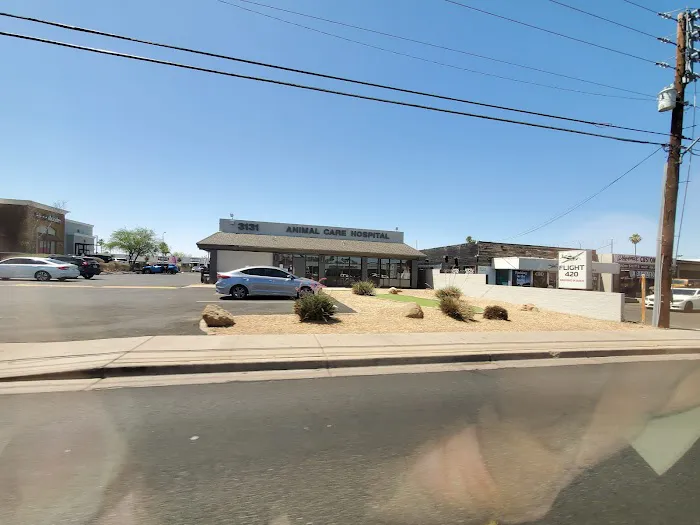 Animal Care Hospital of Phoenix Picture 7