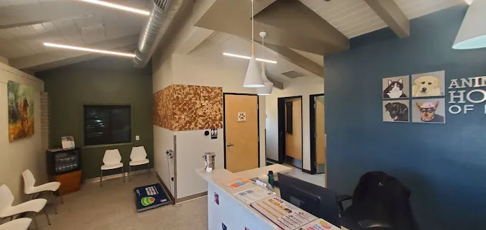 Animal Care Hospital of Phoenix Picture 8