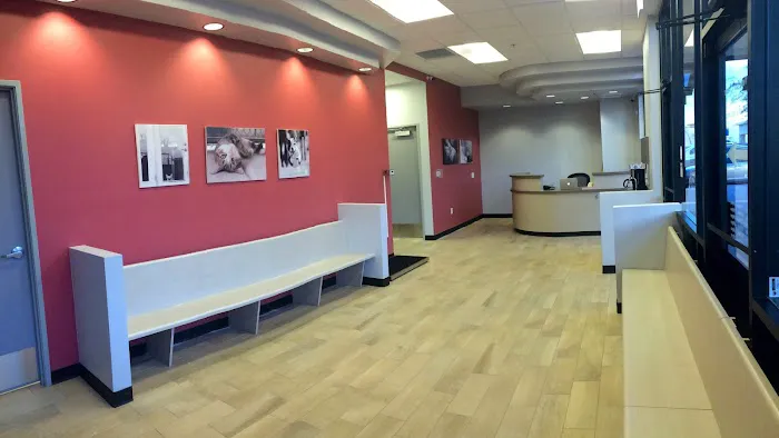 Phoenix Veterinary Center Picture 1