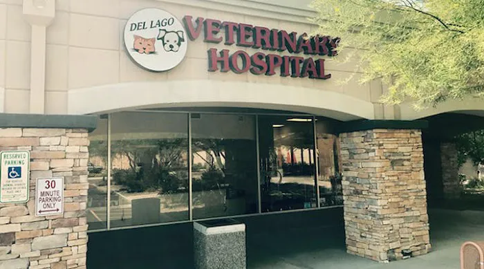 VCA Del Lago Animal Hospital Picture 3