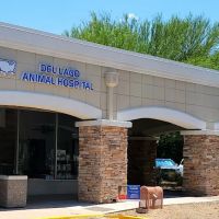 VCA Del Lago Animal Hospital ico