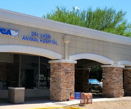 VCA Del Lago Animal Hospital