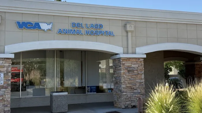 VCA Del Lago Animal Hospital Picture 2