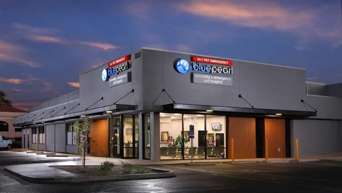 BluePearl Pet Hospital Picture 1