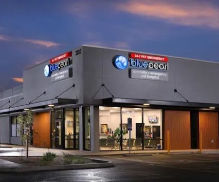 BluePearl Pet Hospital