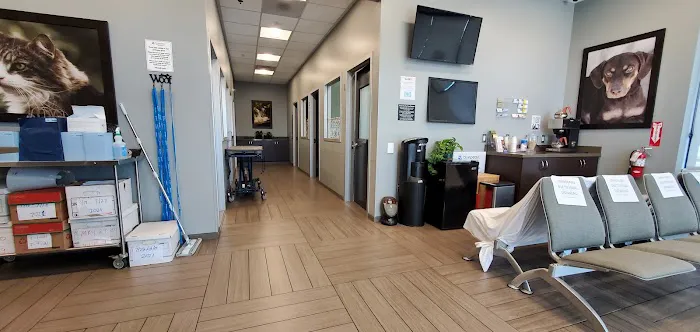 BluePearl Pet Hospital Picture 4