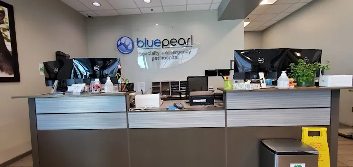 BluePearl Pet Hospital Picture 6