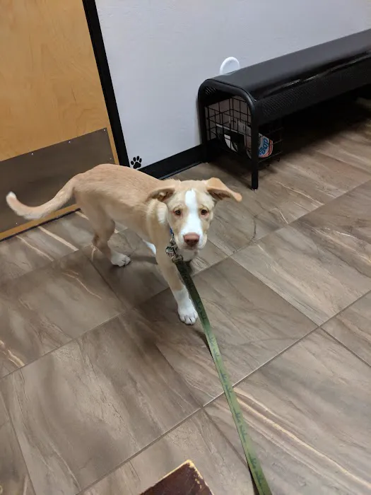 Cross Winds Animal Clinic Picture 4