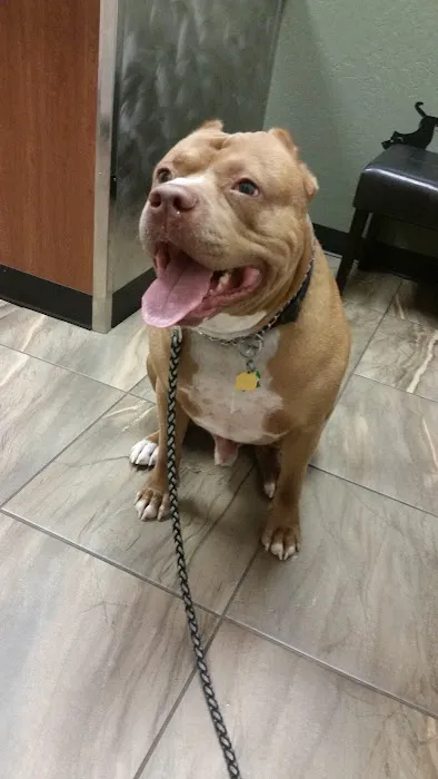 Cross Winds Animal Clinic Picture 6