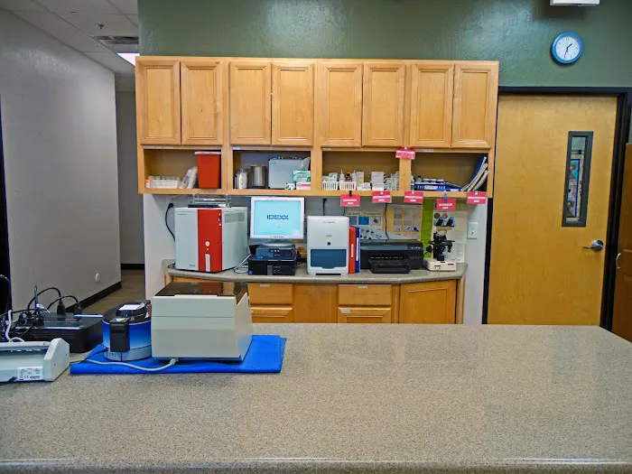 Cross Winds Animal Clinic Picture 9