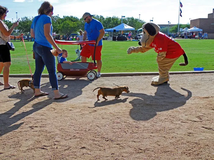Cross Winds Animal Clinic Picture 10
